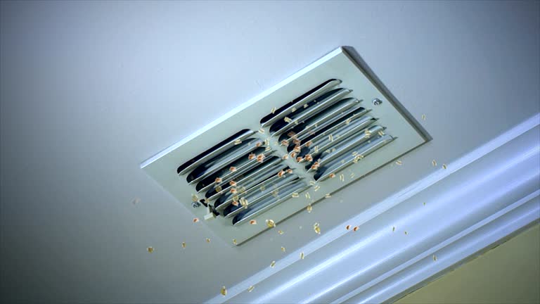 Best Affordable HVAC Duct Cleaning  in Red Springs, NC